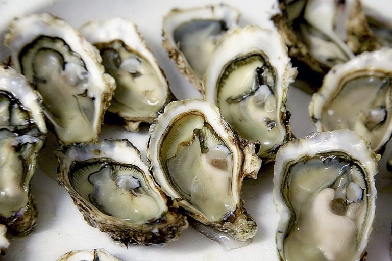 What To Serve With Oysters