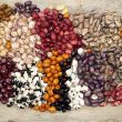 Different Types of Beans