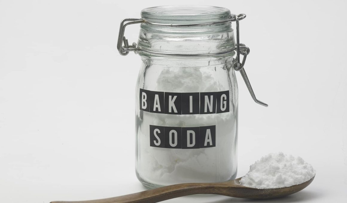 Substitutes for Baking Soda