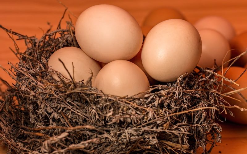 Different Types of Eggs