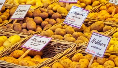 Different Types of Potatoes