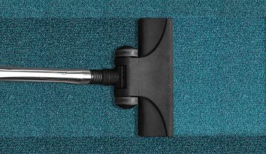 How to Get Slime Out of Carpet