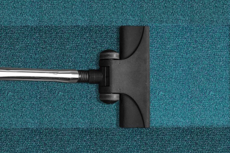 How to Get Slime Out of Carpet