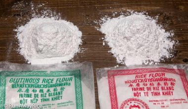 Best Substitutes for Glutinous Rice Flour