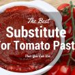 Best Substitutes for Tomato Paste