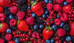 Different Types of Berries