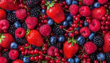 Different Types of Berries