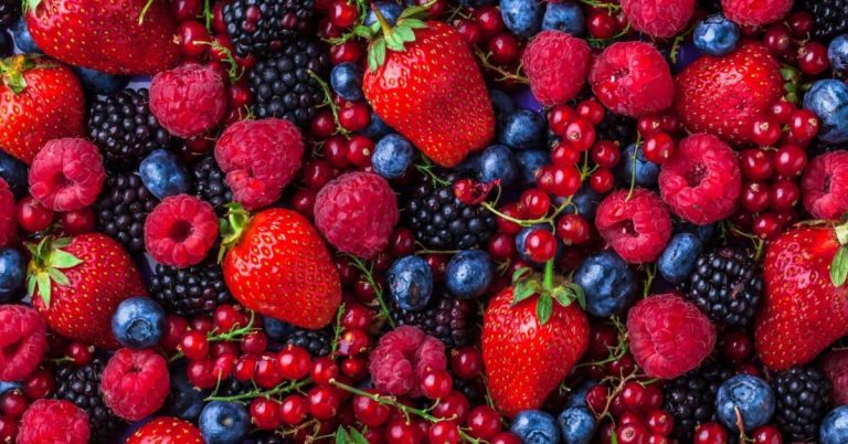 Different Types of Berries