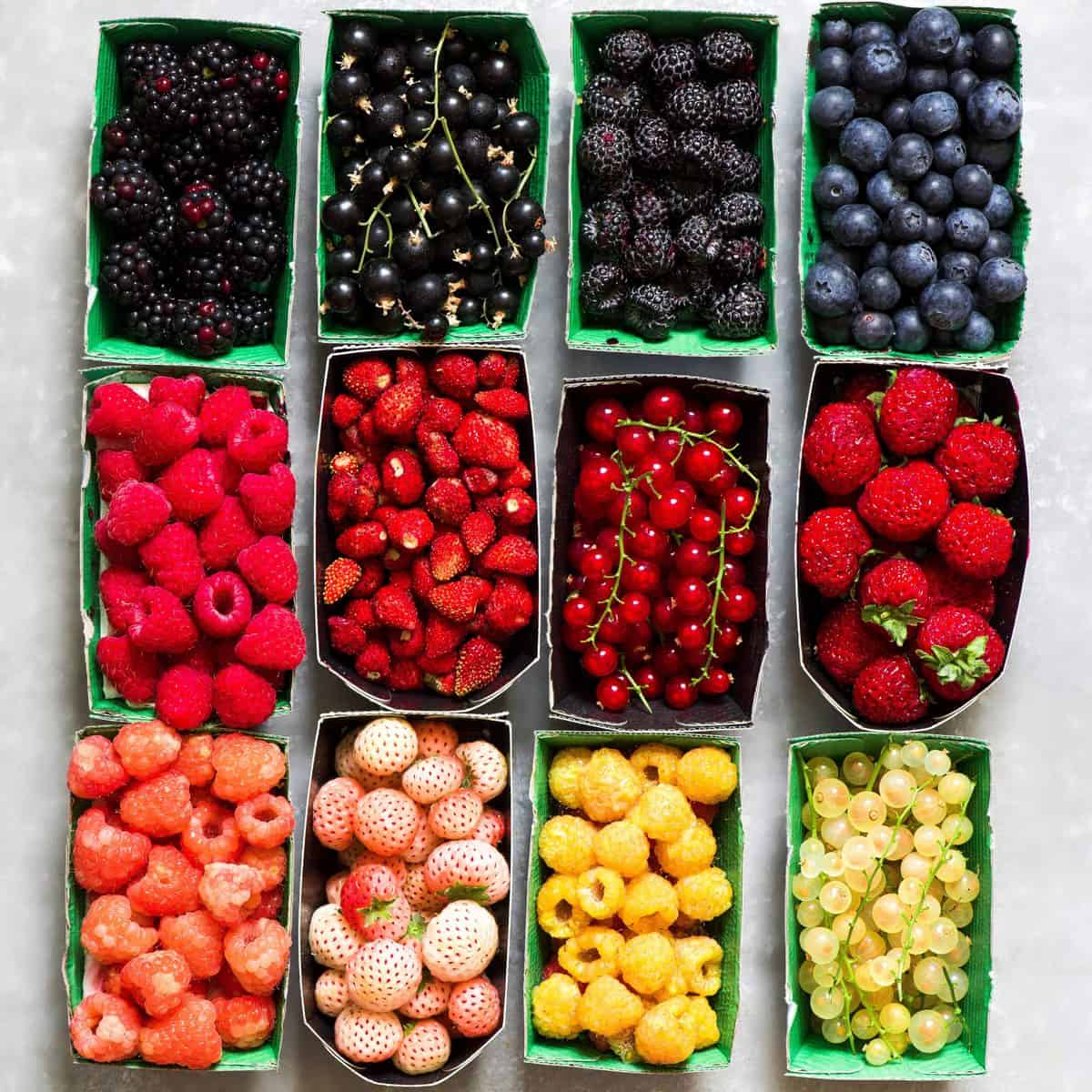 Different Types of Berries