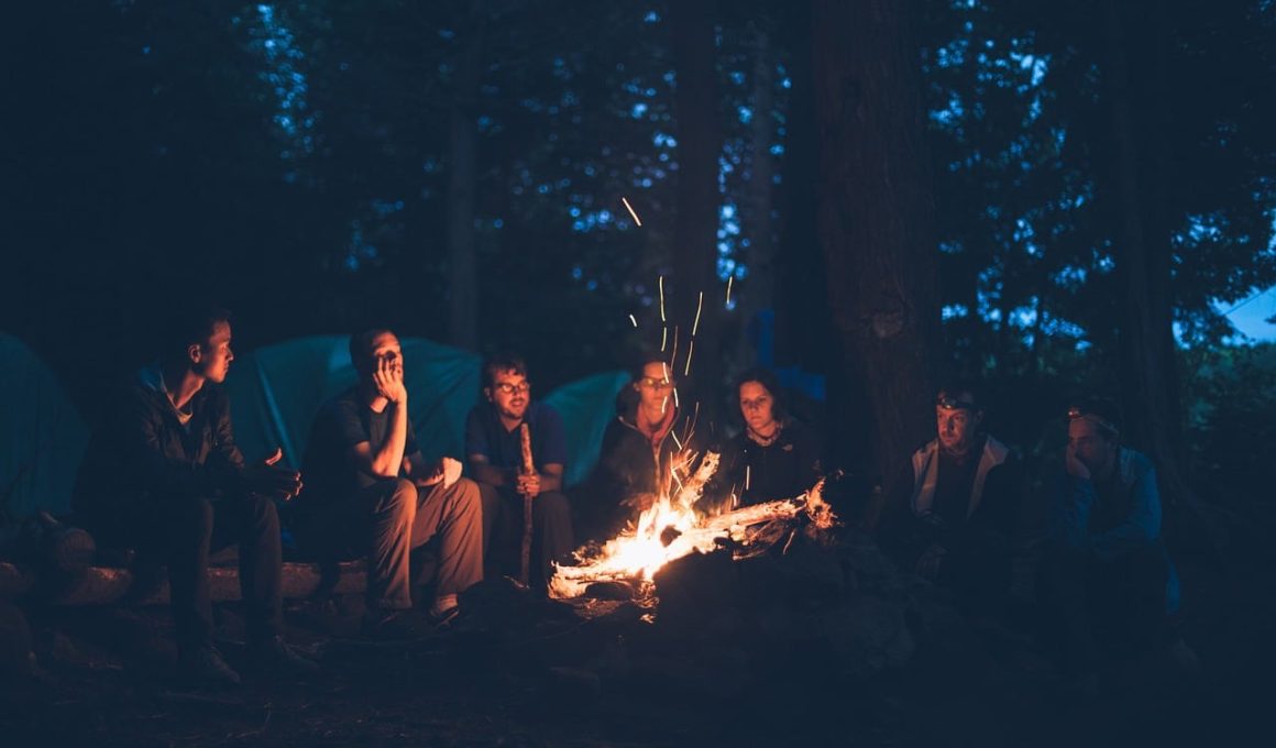 Best Board Games For Camping