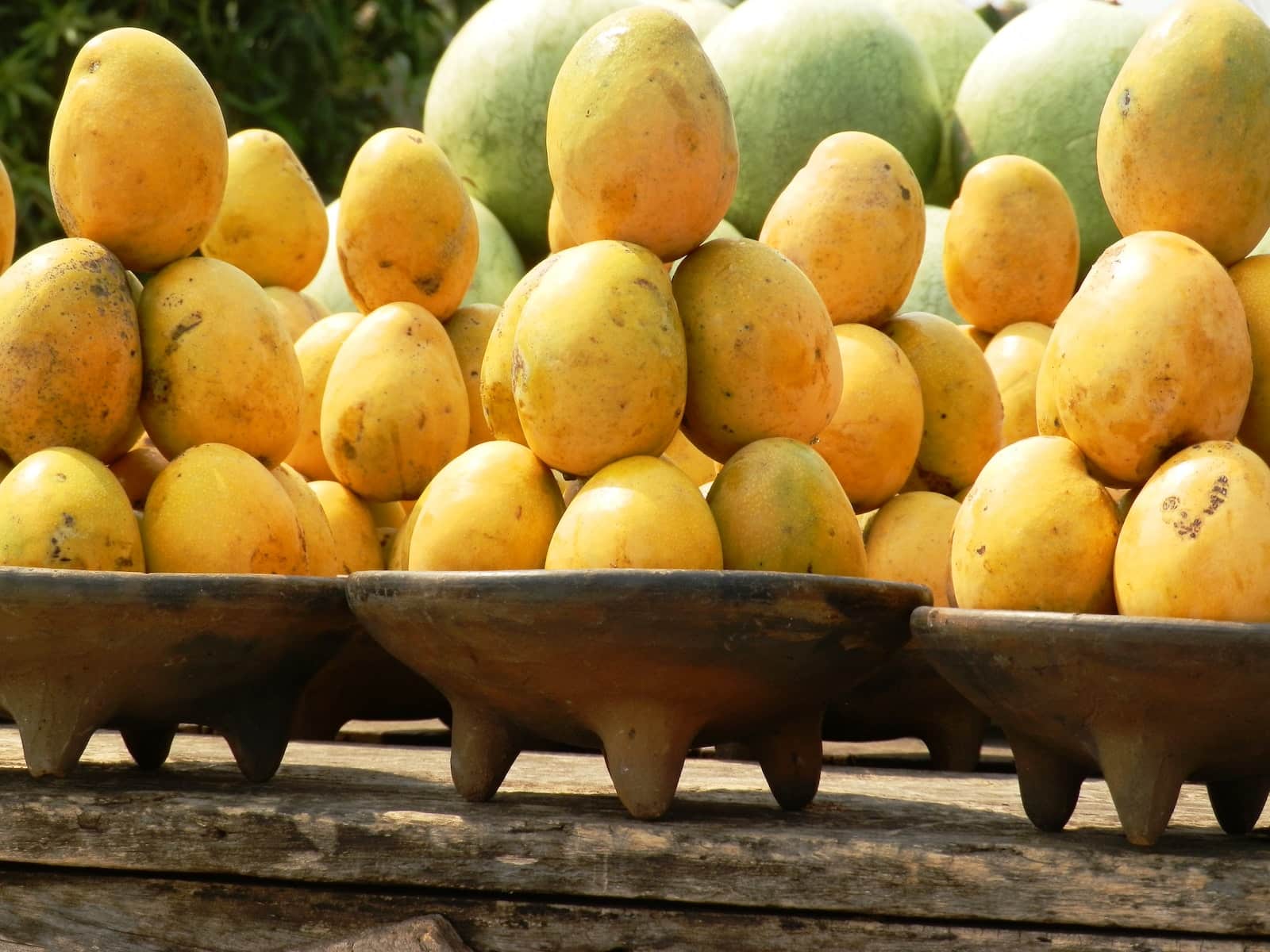 Mango different types of fruits