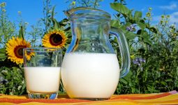 Substitutes For Milk 