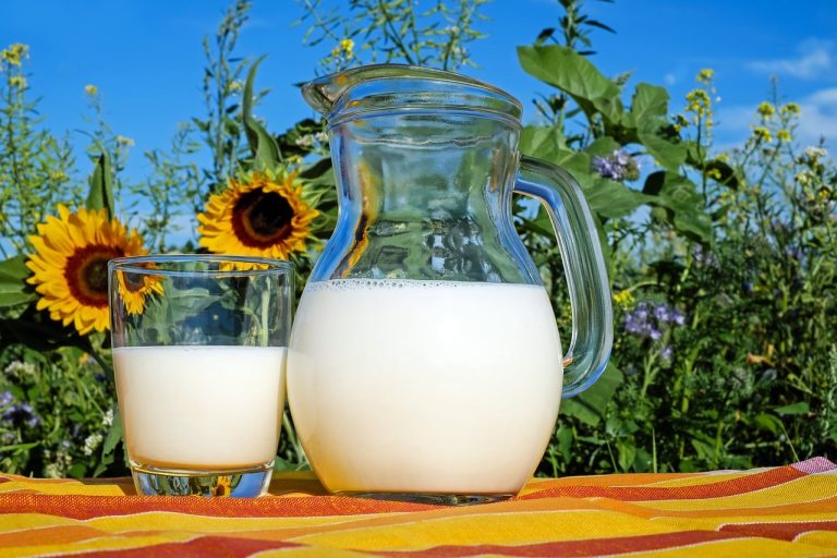 Substitutes For Milk 