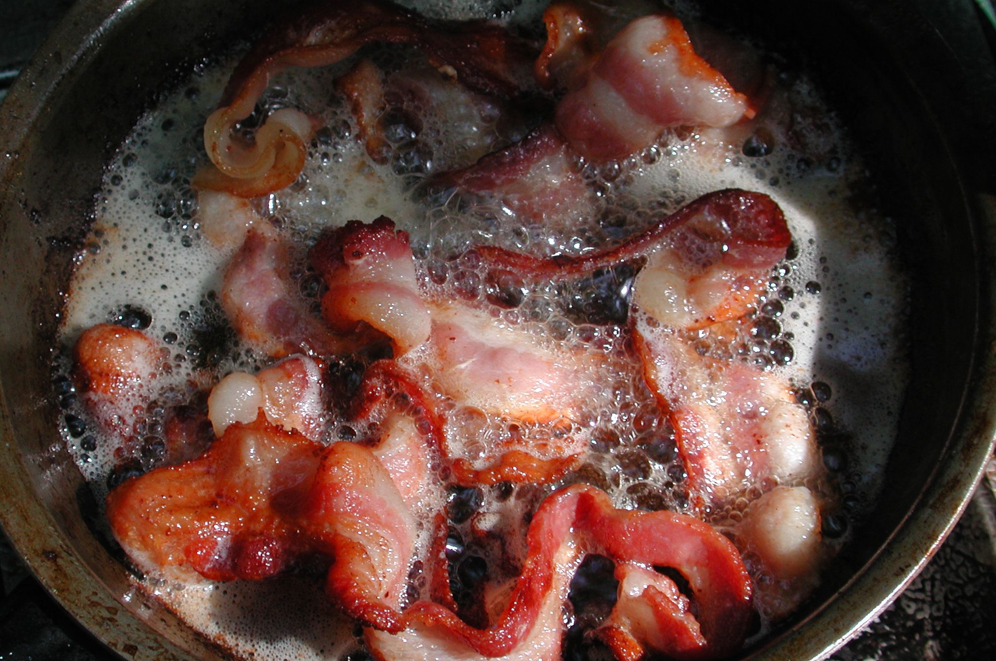 Bacon Fat