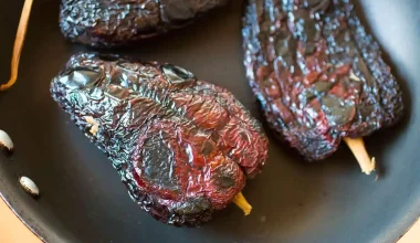 Best Substitutes For Ancho Chile Peppers