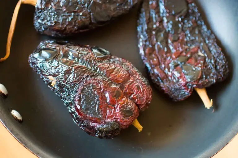 Best Substitutes For Ancho Chile Peppers