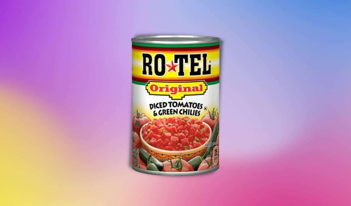 Best Substitutes For Rotel