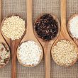 Different Types of Rice