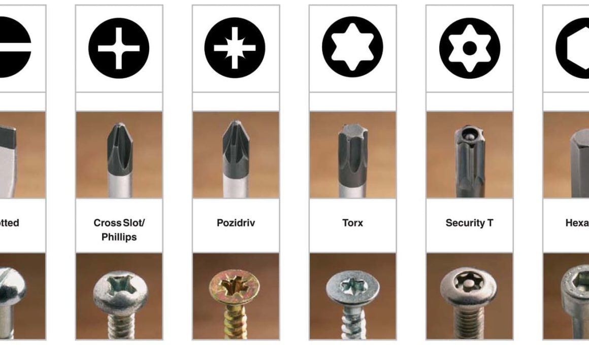 Different Types of Screw Heads