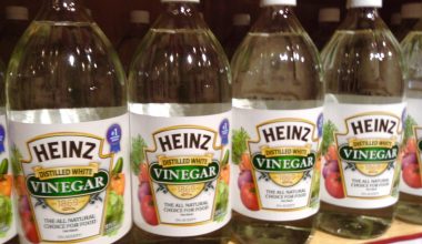 Substitutes For White Vinegar