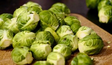 Best Substitutes for Arugula