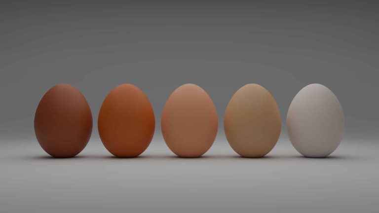 Best Substitutes for Eggs