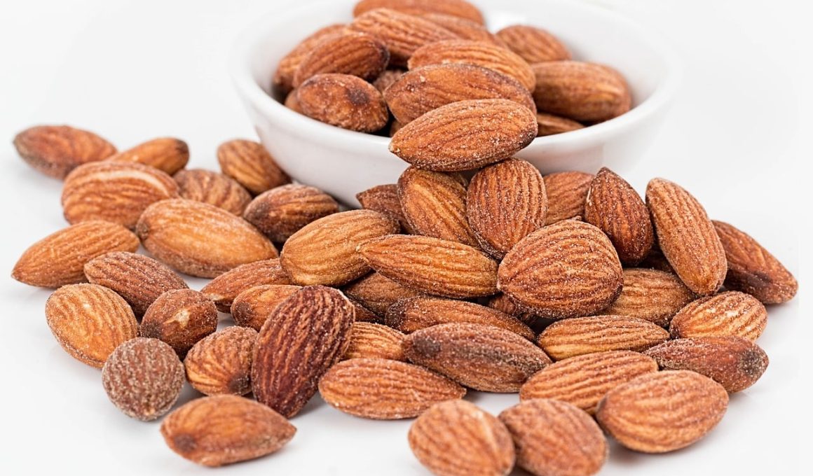 Best Substitutes for Nuts