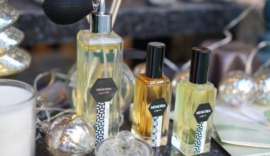 Different Types of Air Fresheners