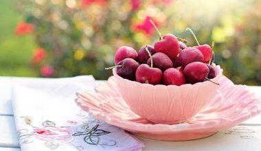 Different Types of Cherries
