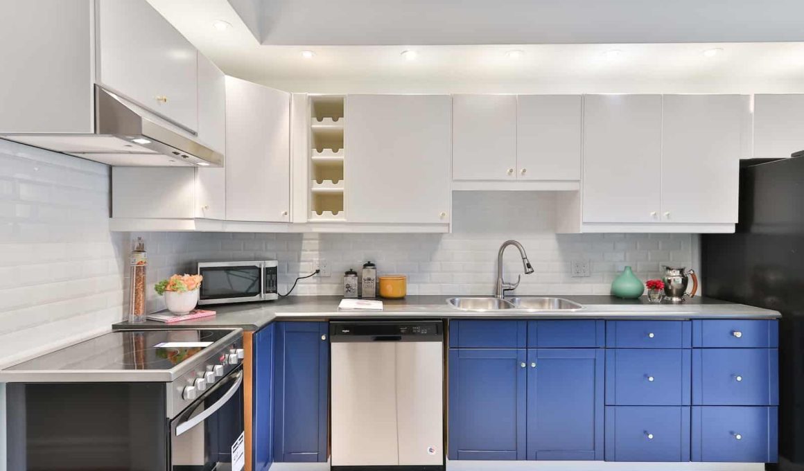 Different Types of Kitchen Cabinets