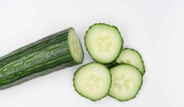 Different Types of Vegetables