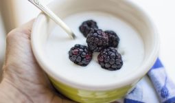 Different Types of Yogurts