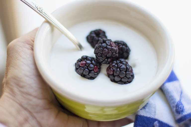 Different Types of Yogurts
