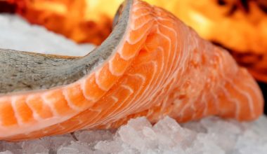 How to Ship Frozen Food With Ease