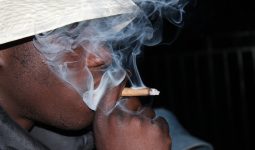 Pros and Cons of Smoking Weed