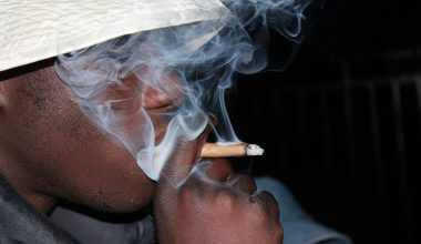 Pros and Cons of Smoking Weed