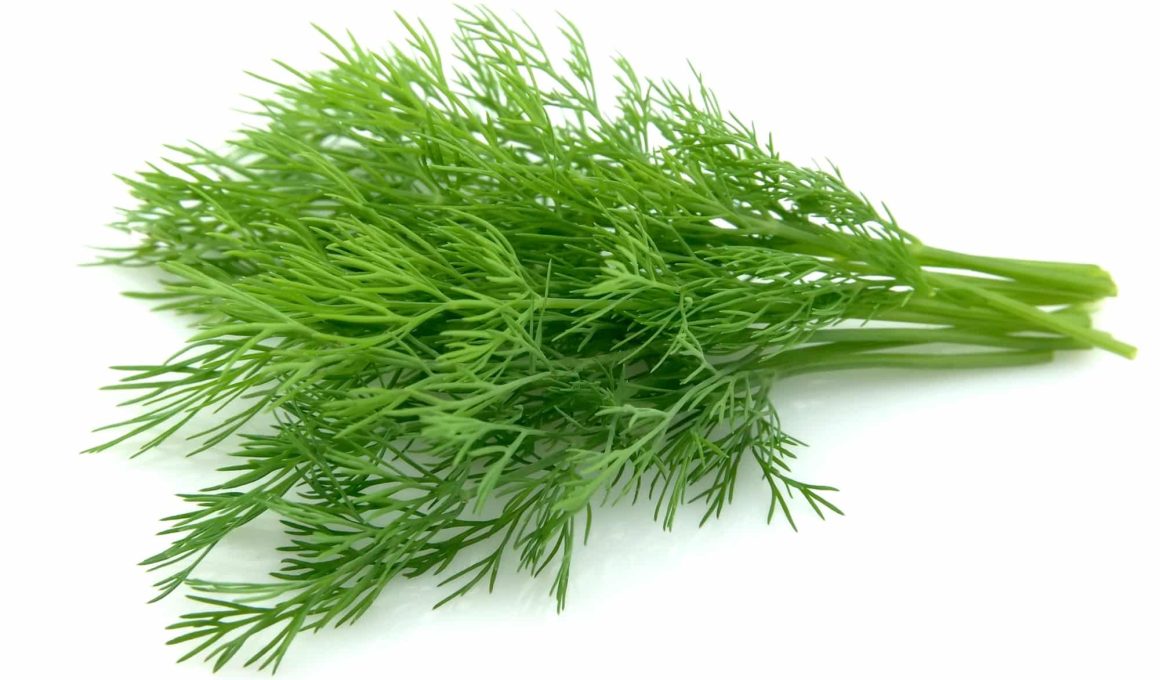 best substitutes for dill