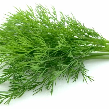 best substitutes for dill