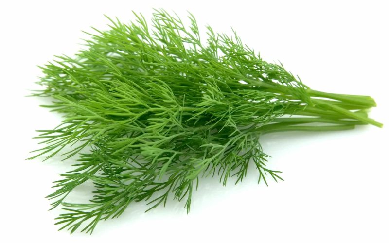 best substitutes for dill