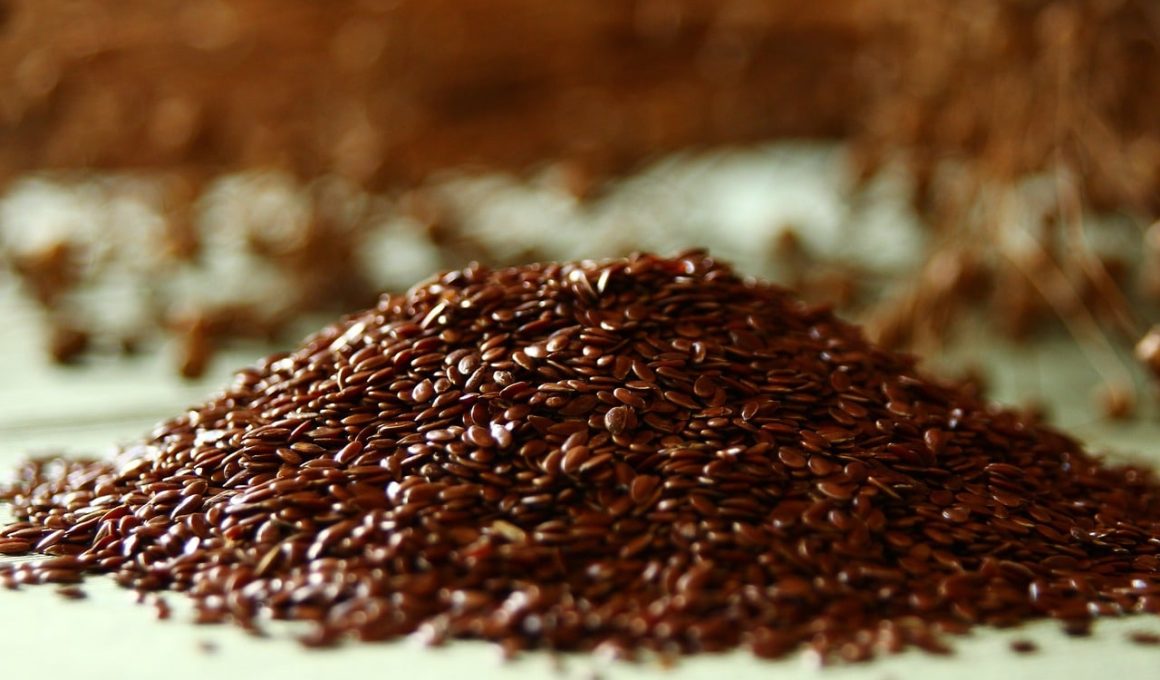 Best Substitutes for Flaxseed