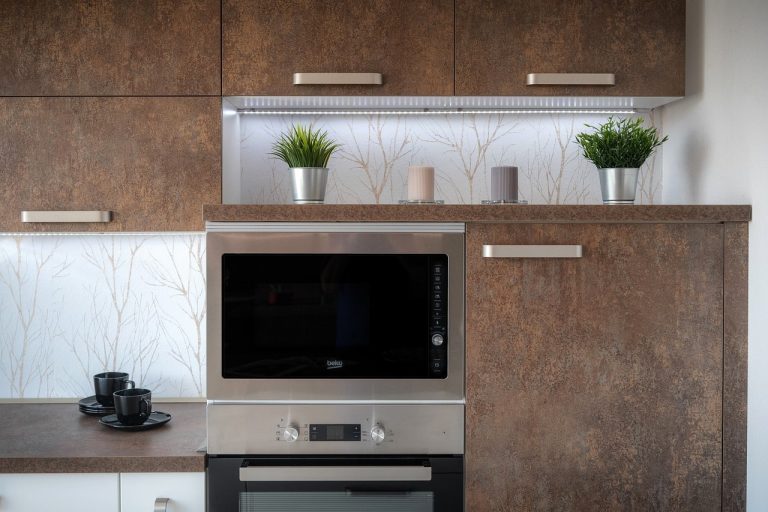 What’s the Difference Between Air Fryer and Convection Oven?