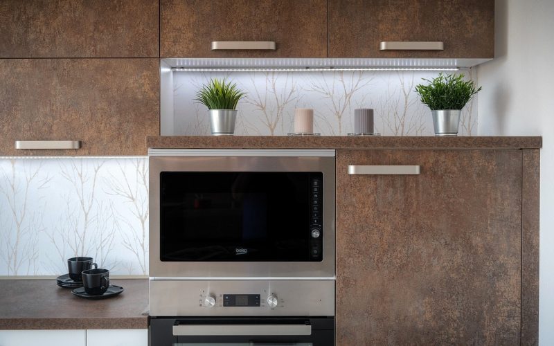 Difference Between Air Fryer and Convection Oven