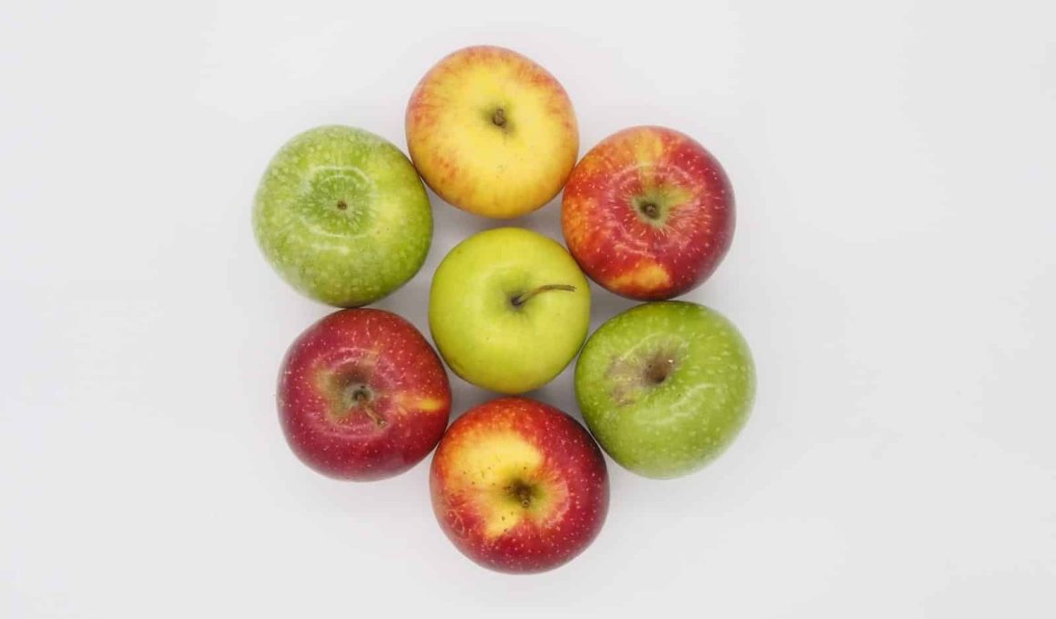 Different Types of Apples