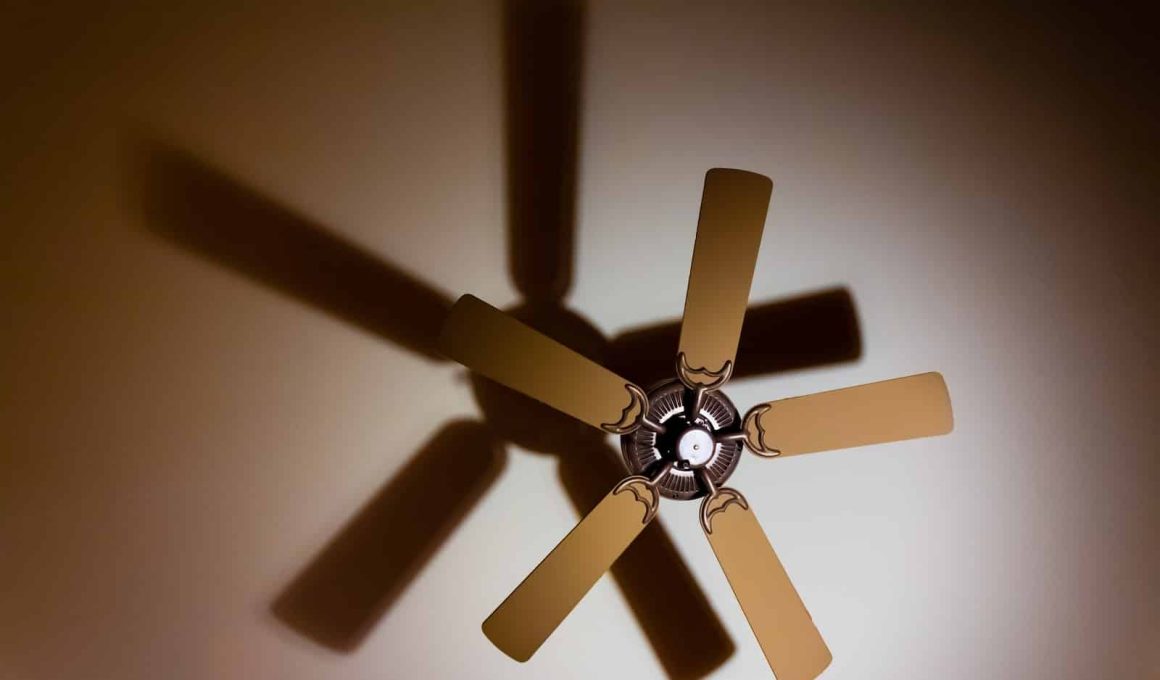 Different Types of Ceiling Fans