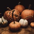 Different Types of Pumpkins