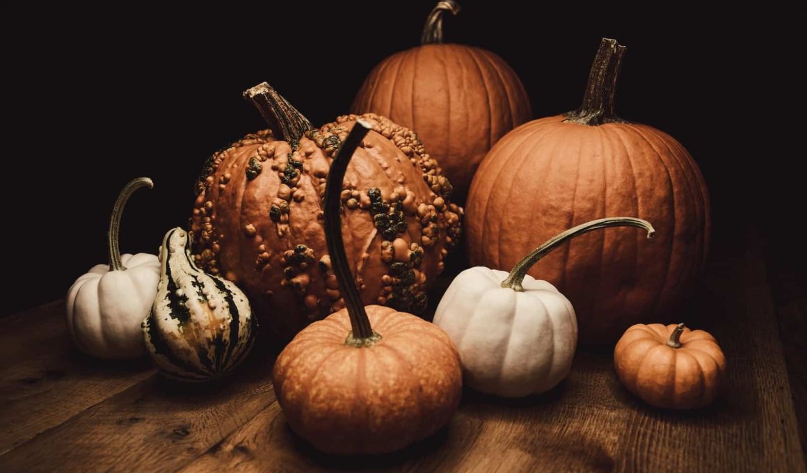 Different Types of Pumpkins