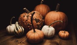 Different Types of Pumpkins