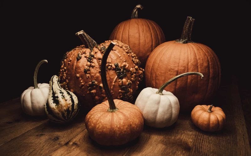 Different Types of Pumpkins