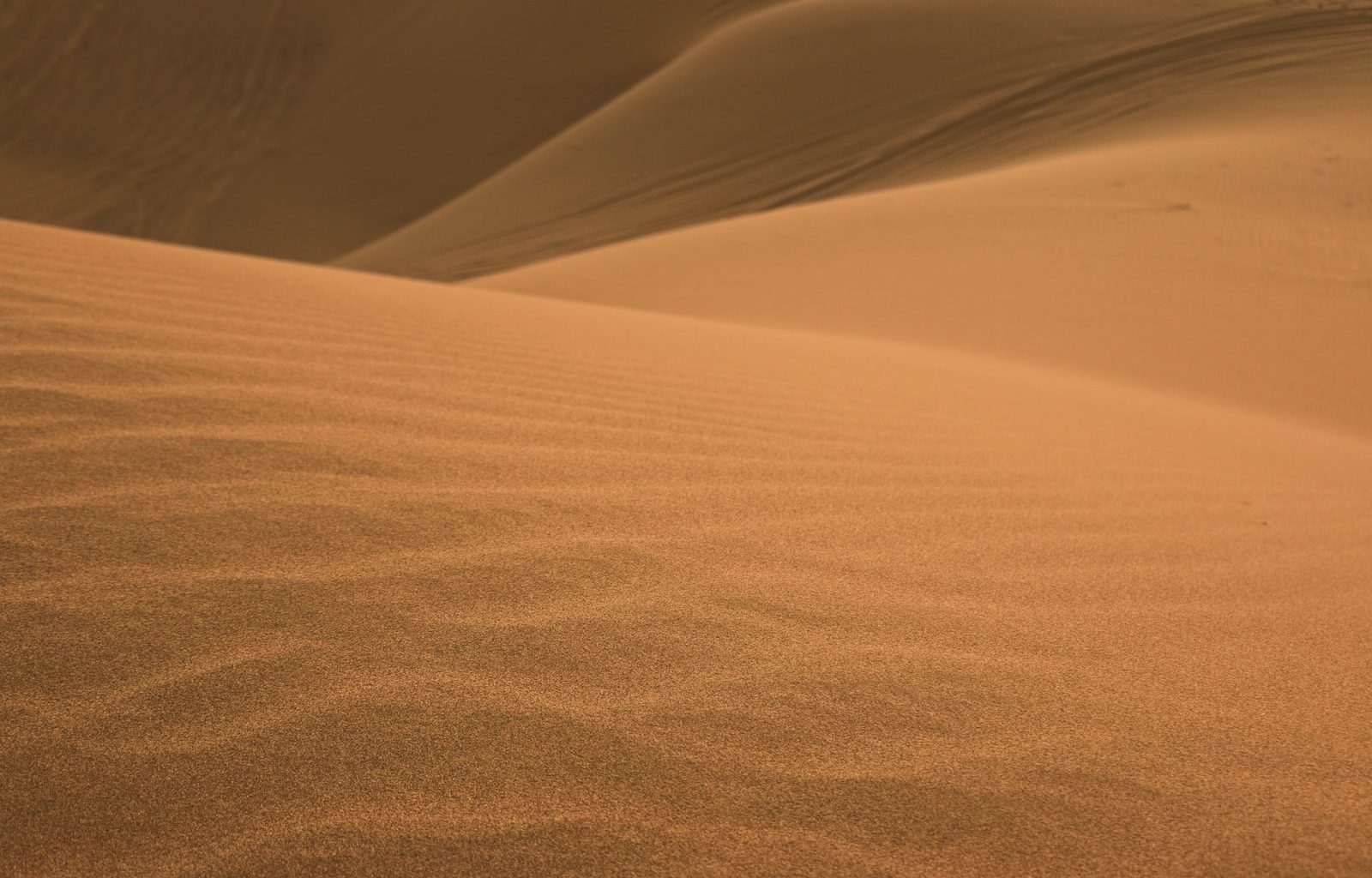 Different Types of Sand