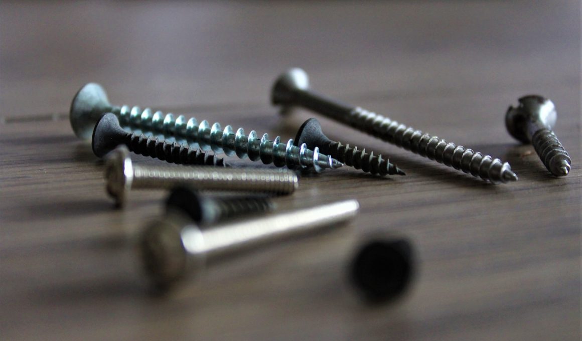 Different Types of Screws and Their Uses